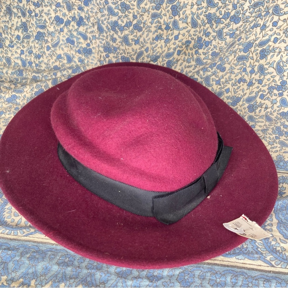 Arlin NWT VTG wool felted fedora hat